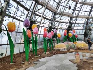 VƯỜN TULIP - VINPEARL NHA TRANG