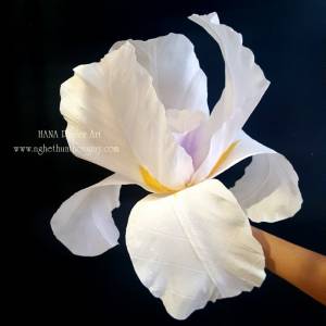 HOA THỦY TIÊN GIẤY - HANA Paper Art