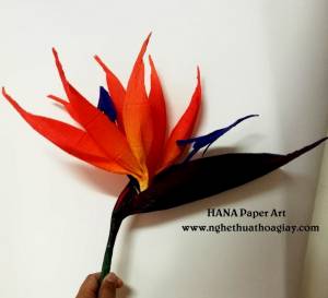 NHÀNH HOA THIÊN ĐIỂU GIẤY