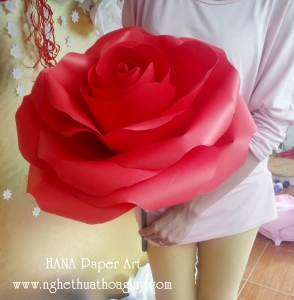 Hoa hồng cành