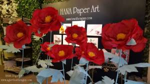 Cây hoa poppy đỏ