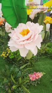 Cây hoa mẫu đơn nở